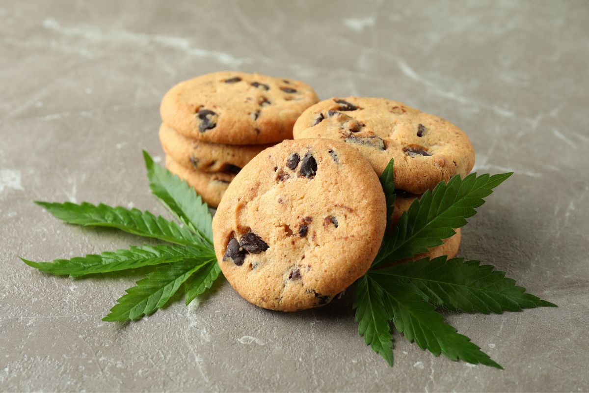 How Long Do Edibles Stay In Your System?