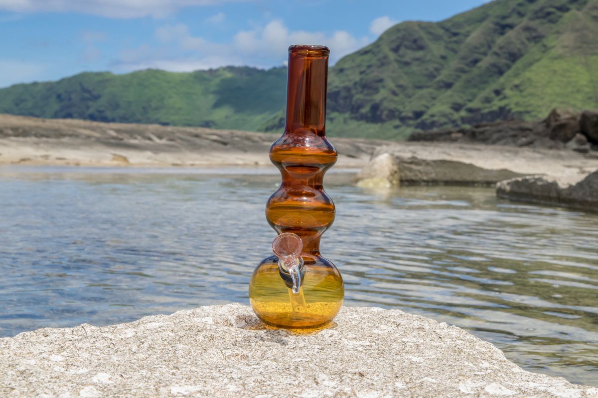 How Much Water Do You Put In A Bong? BudWinners
