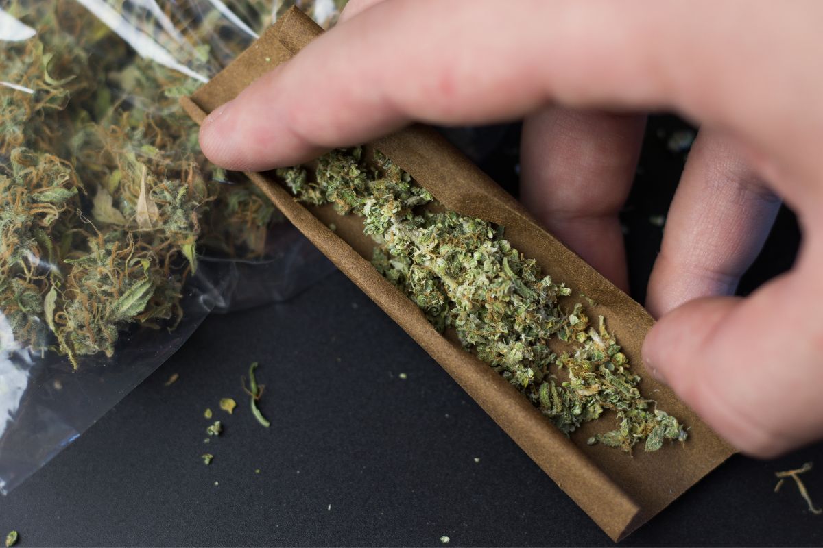 Are Blunts Bad For Your Health? (What To Know Before You Roll Up)