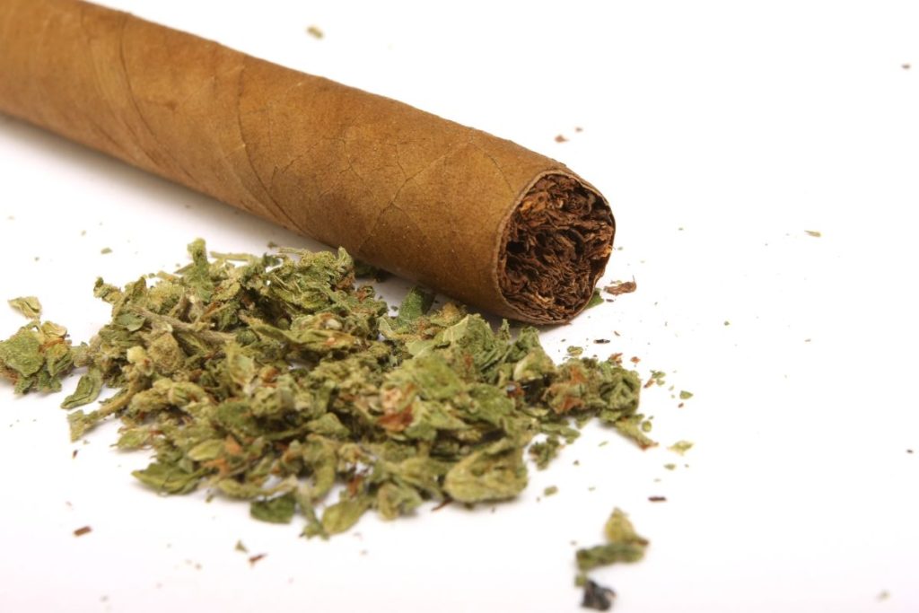 Are Blunts Bad For Your Health? (What To Know Before You Roll Up)