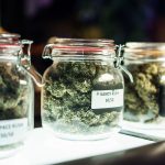 Are Mason Jars Airtight? (How To Store Your Cannabis: The Dos And Don’ts)