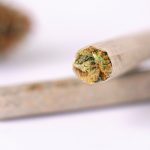 Can You Use Tissue Paper To Roll A Joint? (Best Alternatives)