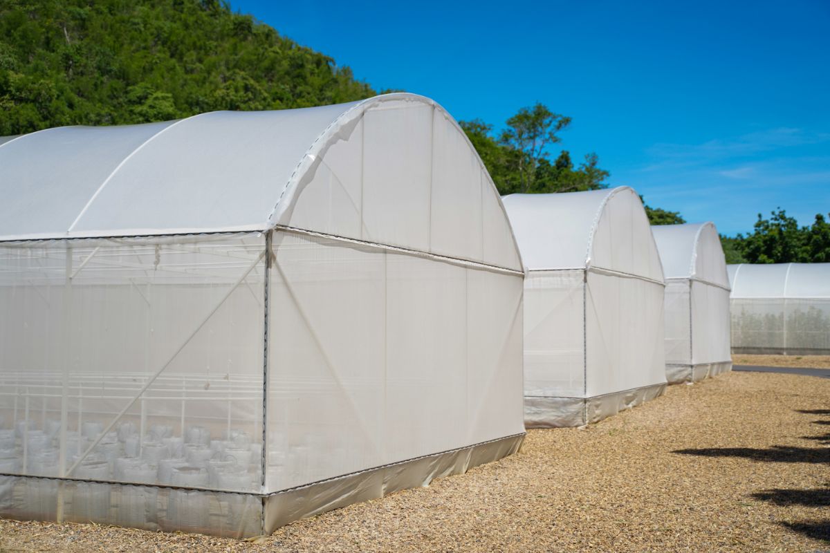 Do Grow Tents Keep The Smell In? (Ways To Smell Proof Grow Tent)