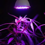 Moving Grow Lights (The Benefits Of Installing Light Movers In A Grow Room)