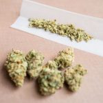 The Real Difference Between Low, Mid, And Top Shelf Weed (Fully Explained)